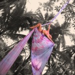 Outdoor aerial silks